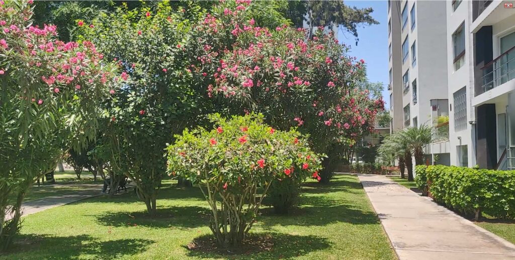 Los parques más bonitos de Miraflores 1 parque guillermo correa